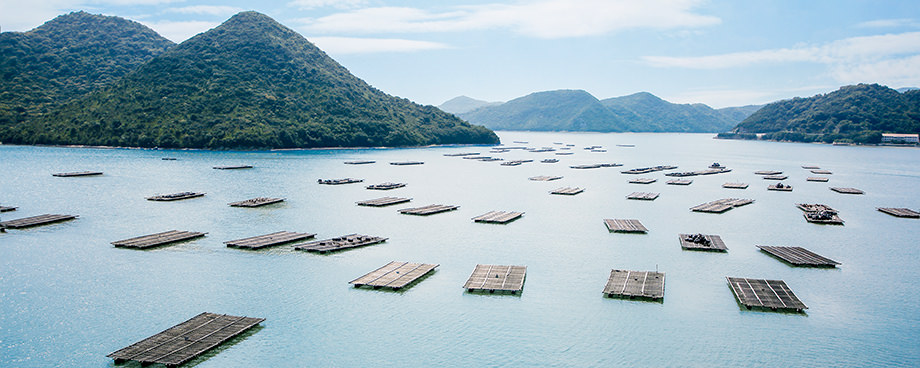 瀬戸内海のイメージ写真