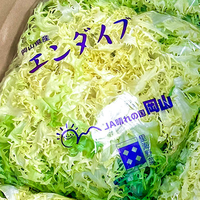 里海野菜のイメージ写真