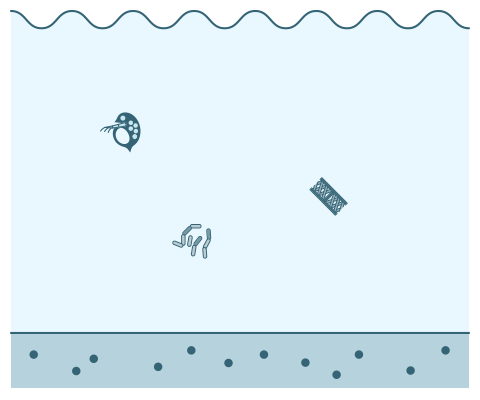 図：海中のプランクトンの減少