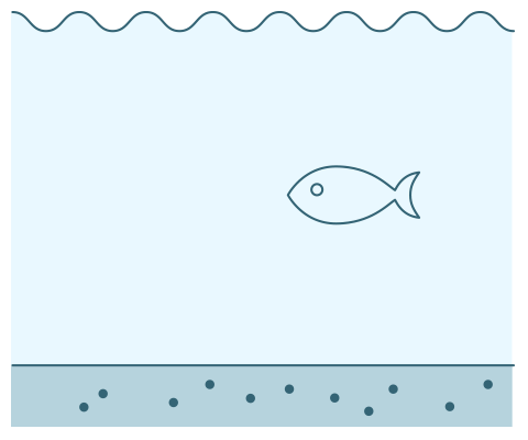 図：大型の魚の減少