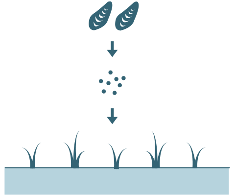 図：カキ殻を農業資材に使う