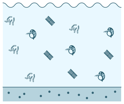 図：海中のプランクトンが増える