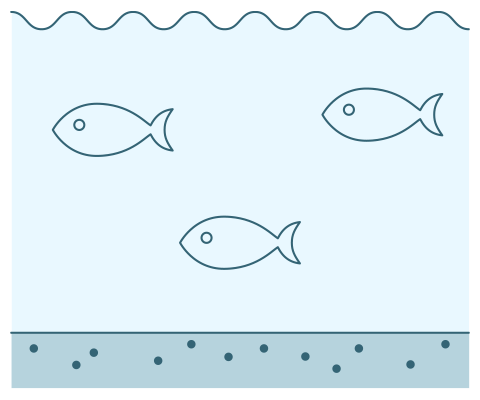 図：大型の魚も増える