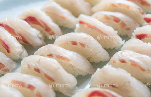 チヌの握り寿司の写真