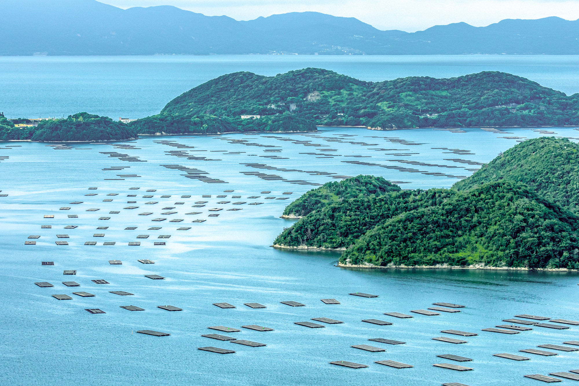 瀬戸内かきがらアグリの循環を示すイラスト